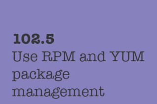 103.3 Perform basic file management